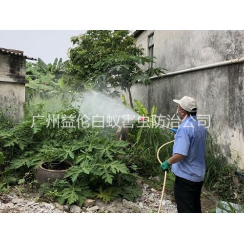 南沙社区消灭蚊子工程